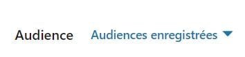 LinkedIn Ads - Audience Cible - vous pouvez réutiliser une audience précédemment enregistrée - eksplodo.fr