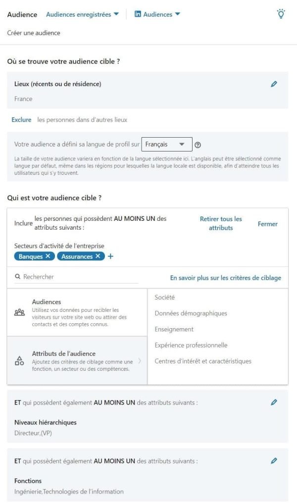LinkedIn Ads - Audience Cible - exemple d'une audience tous les VP et Directeurs en Ingénierie et IT dans les Banques et Assurances en France - 5000 personnes - eksplodo.fr