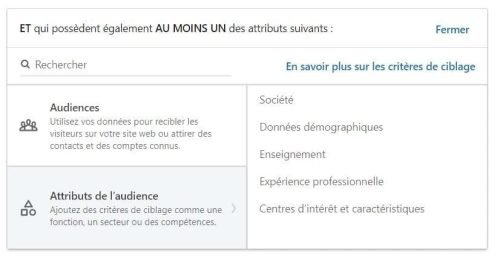 LinkedIn Ads - Audience Cible - vous pouvez cibler par attributs comme zone géographique, entreprise, profil démographiques, formation et diplômes, expérience professionnelle, centres d'intéret, etc. eksplodo.fr